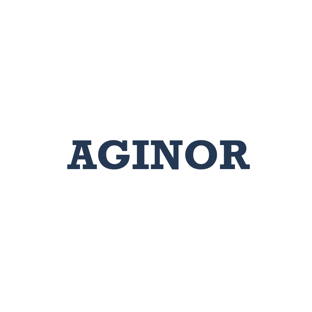 Logo Aginor